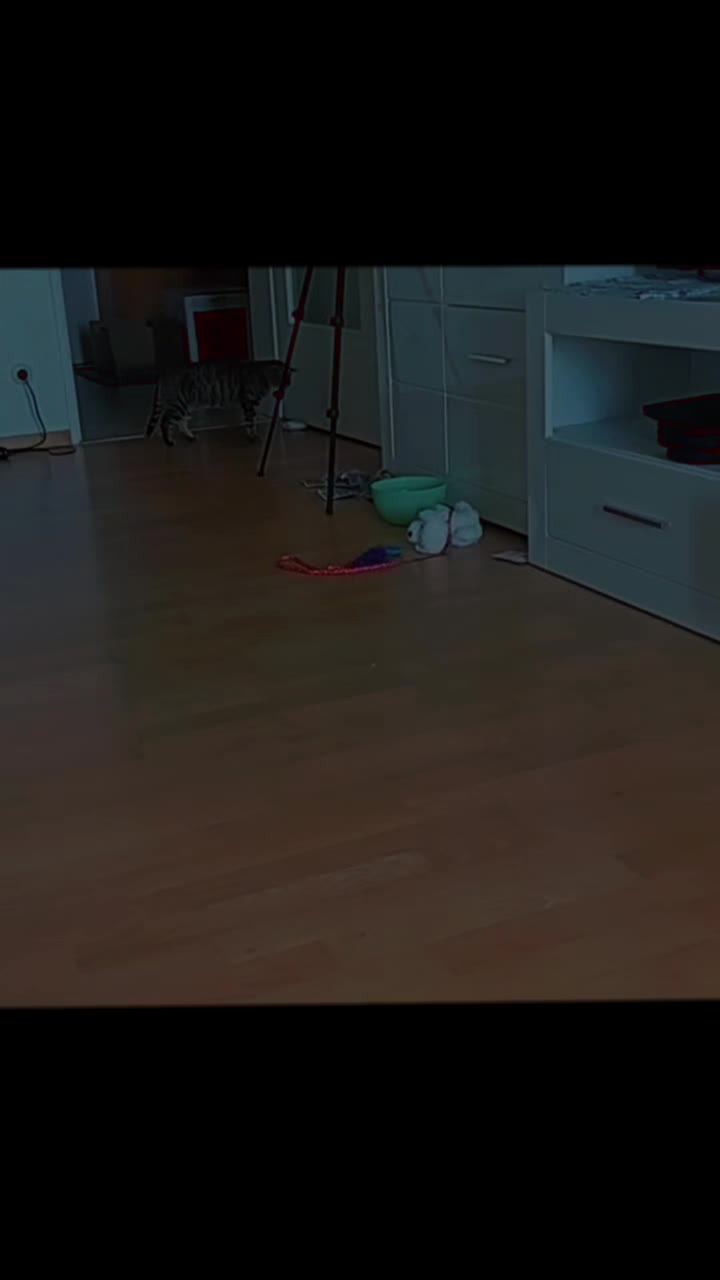 @MIMI🥀👑