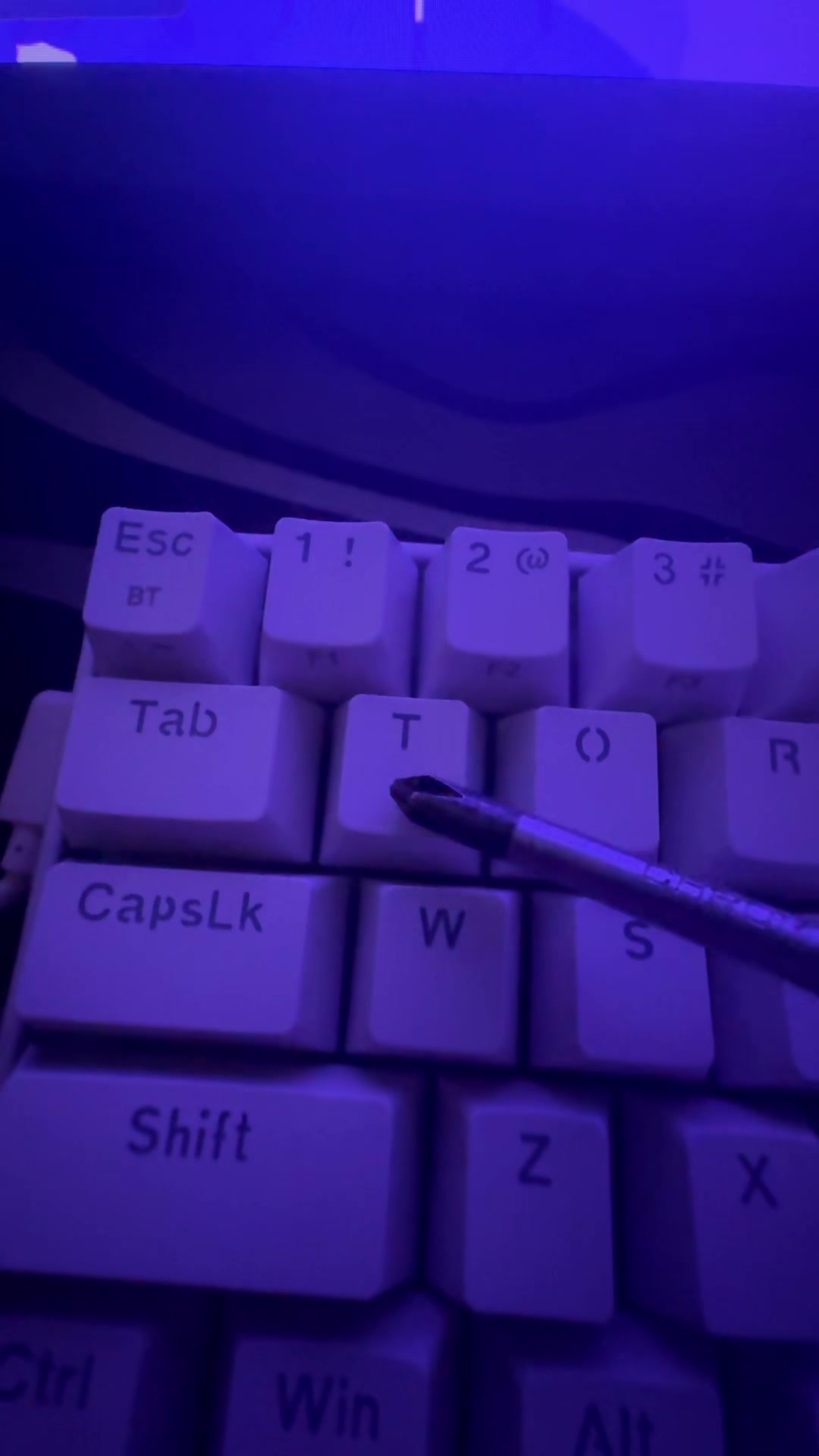 @TikTok.Maksiu