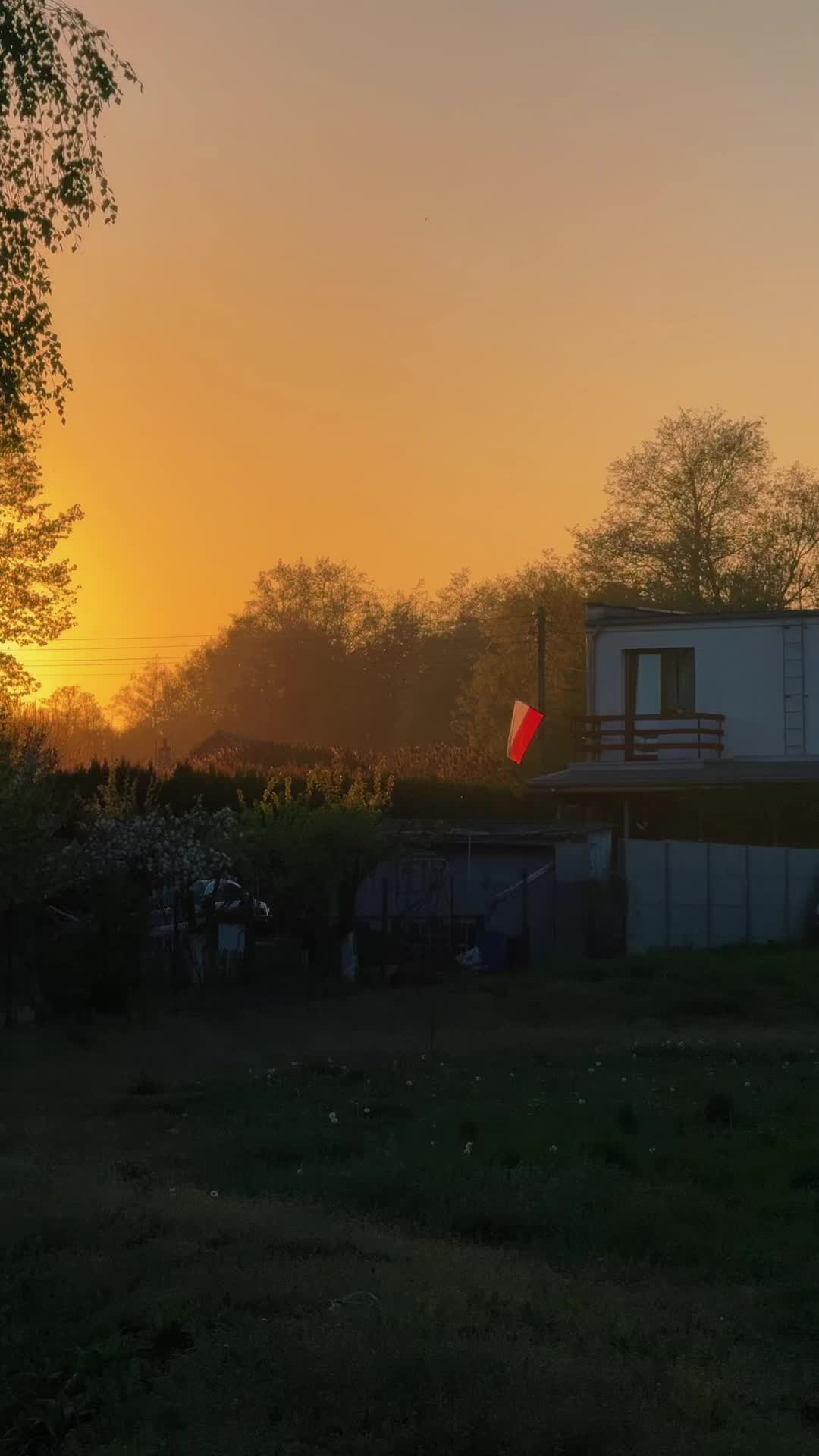 @puszeen