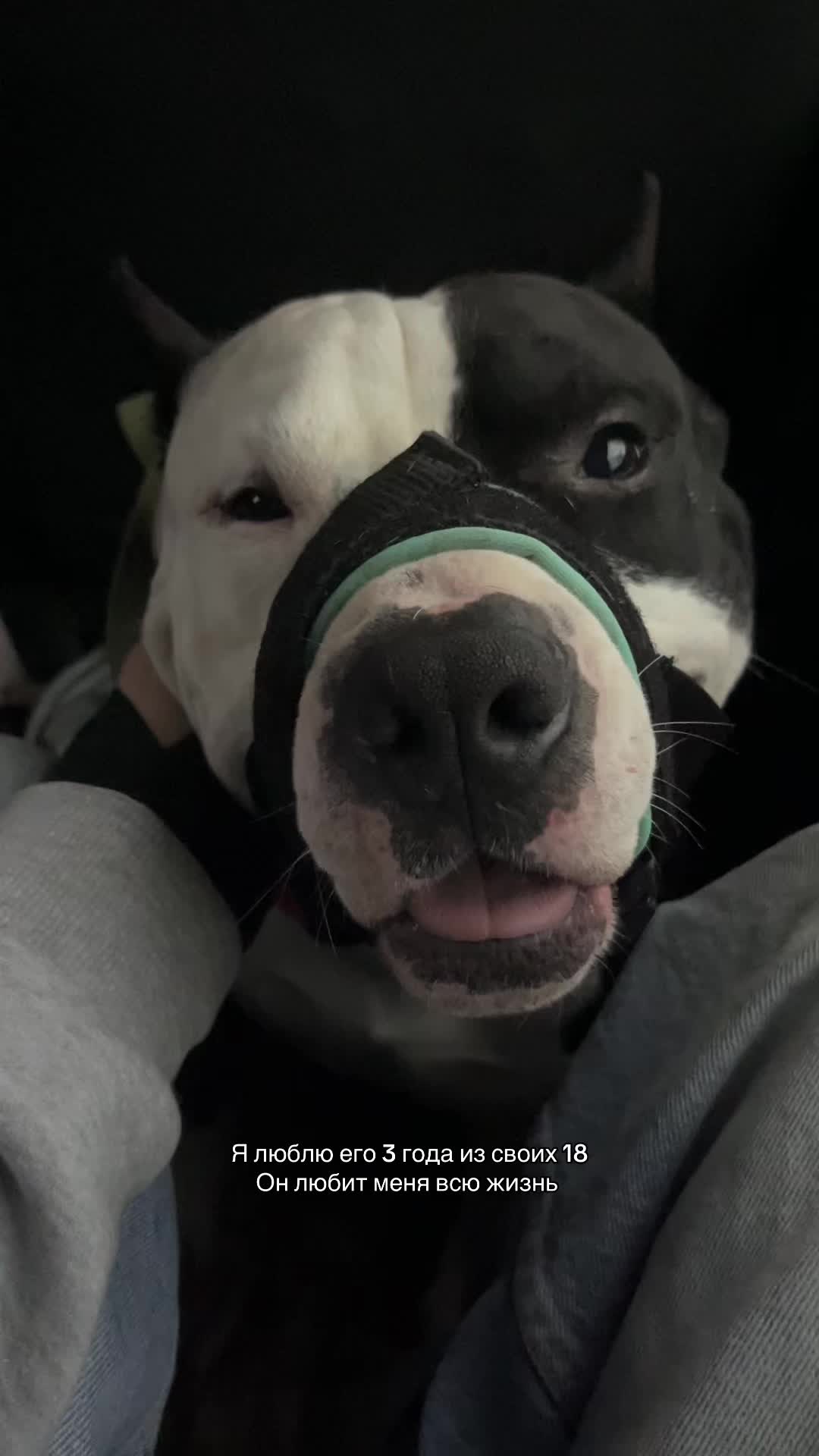 @𝐌𝐚𝐲𝐬𝐨𝐧