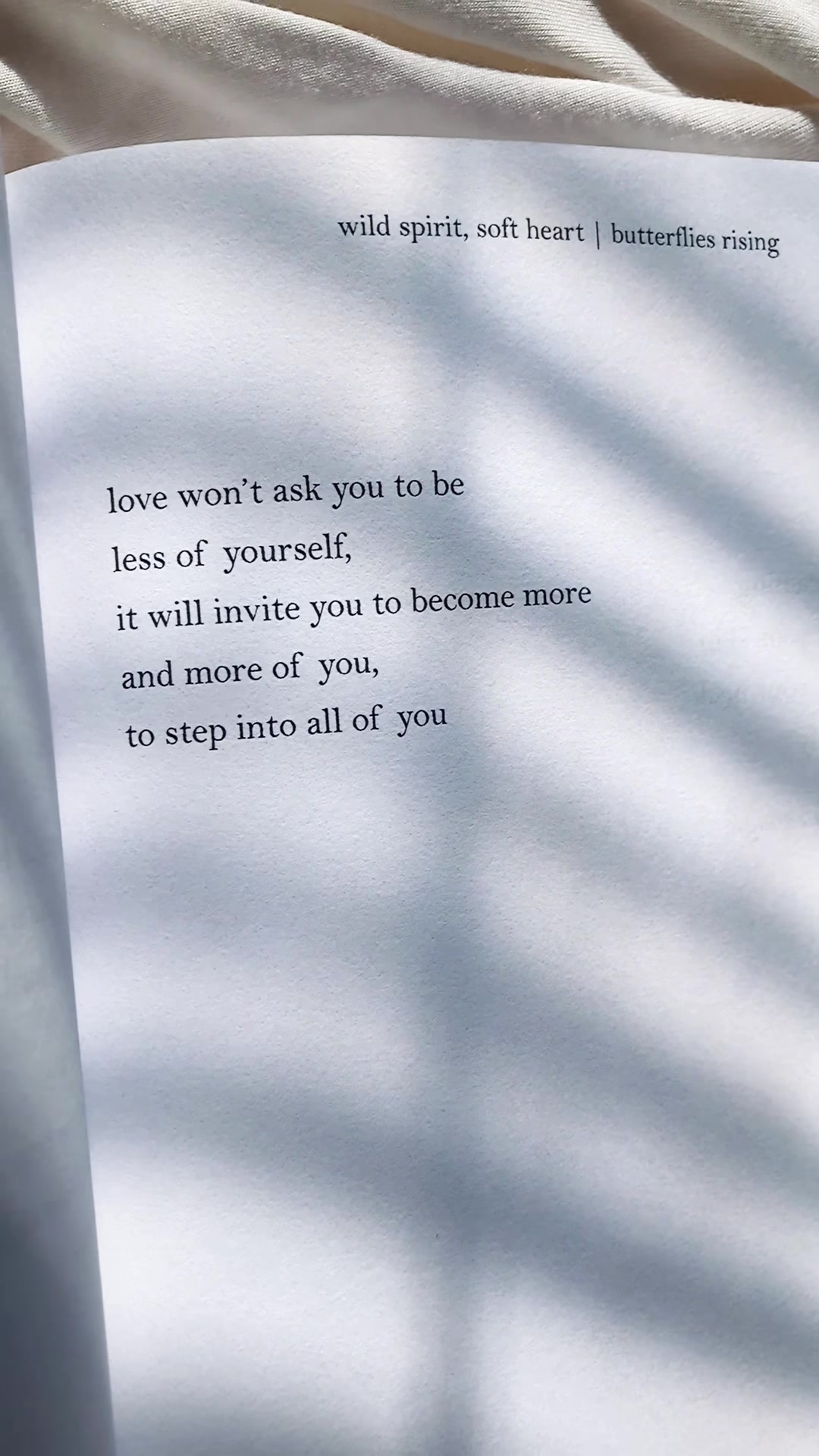 @butterflies rising