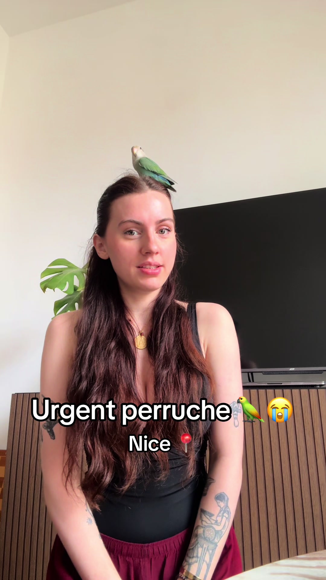 @Sarah AL