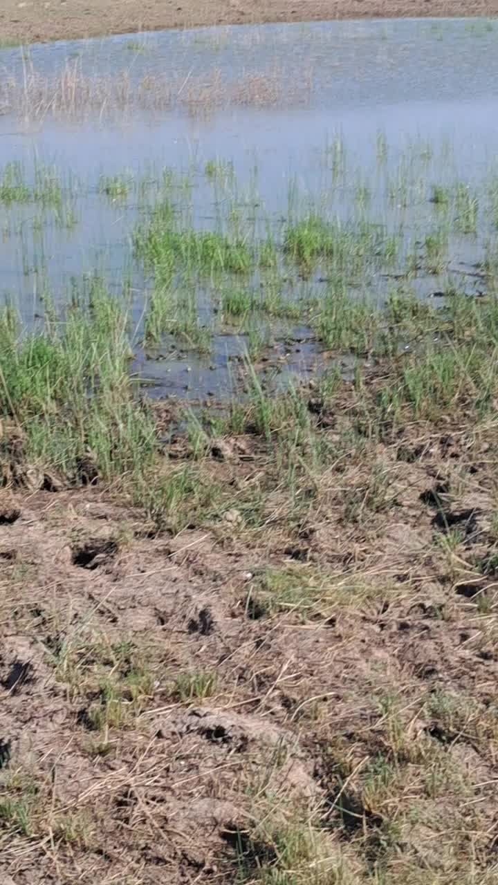 @krazy kansas outdoors