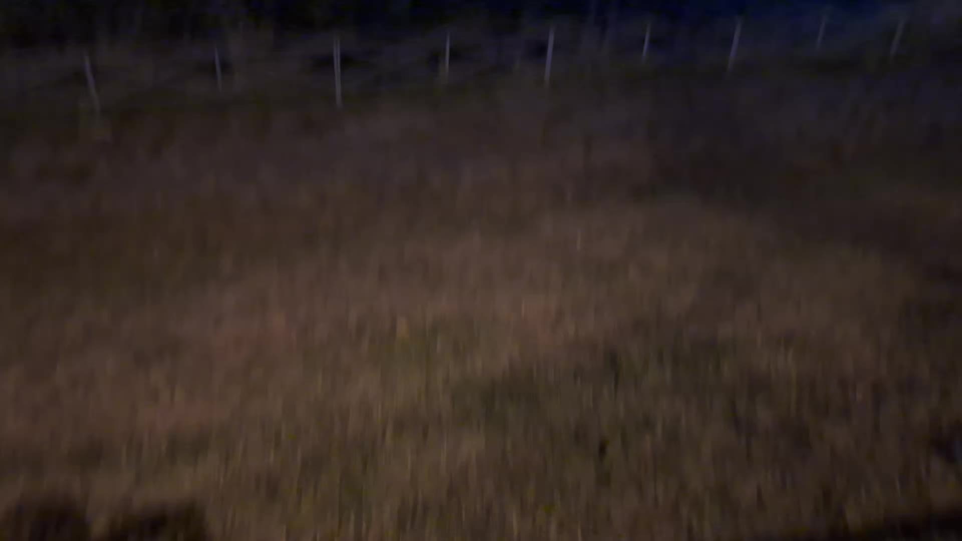 @SHWEEEPS