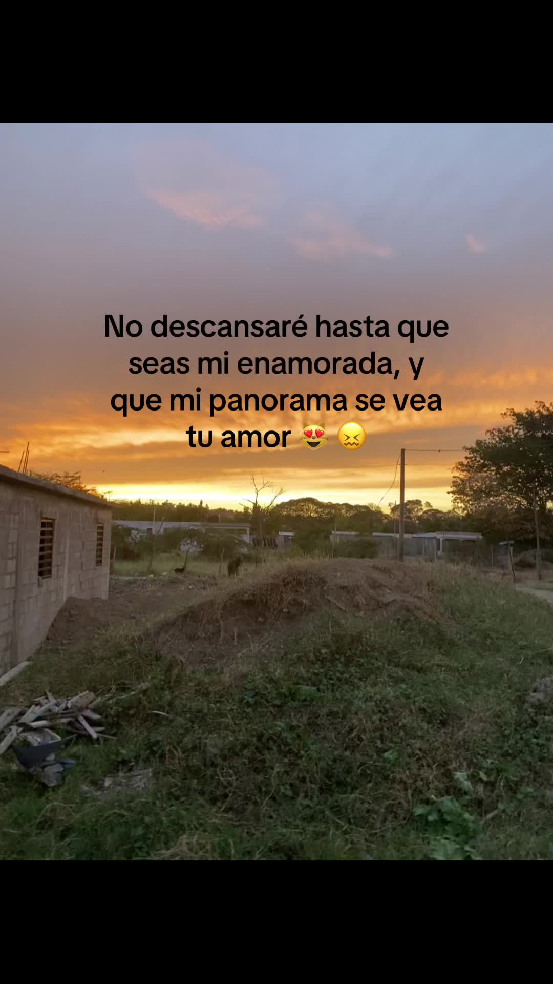 @Alexito🦇
