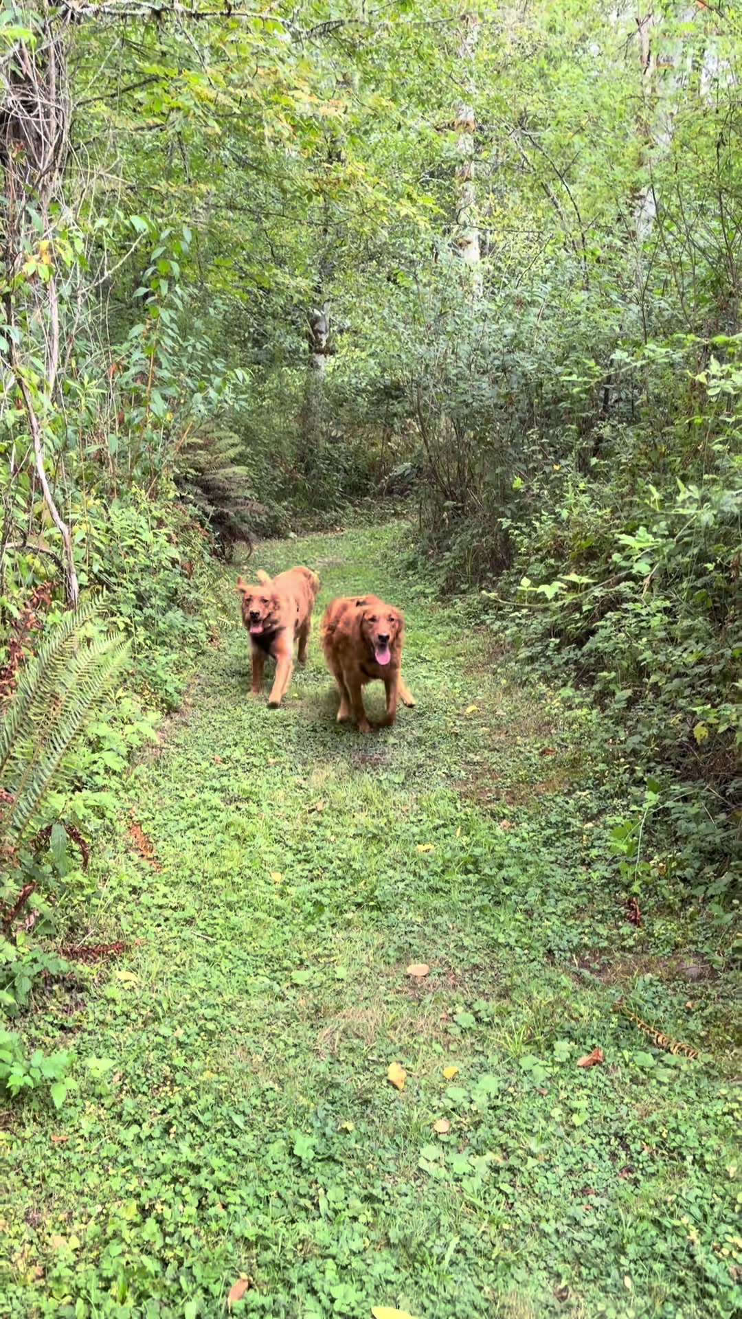 @ElliotandErnie