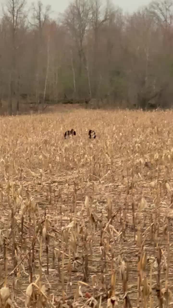 @HeadOutdoors