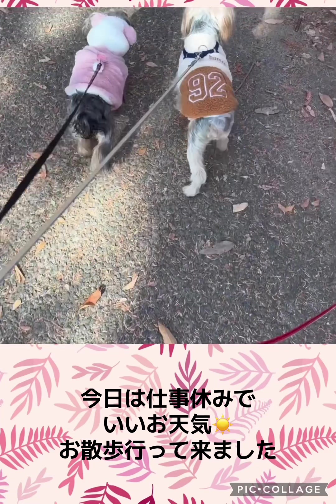 @ビビまるトンチャー
