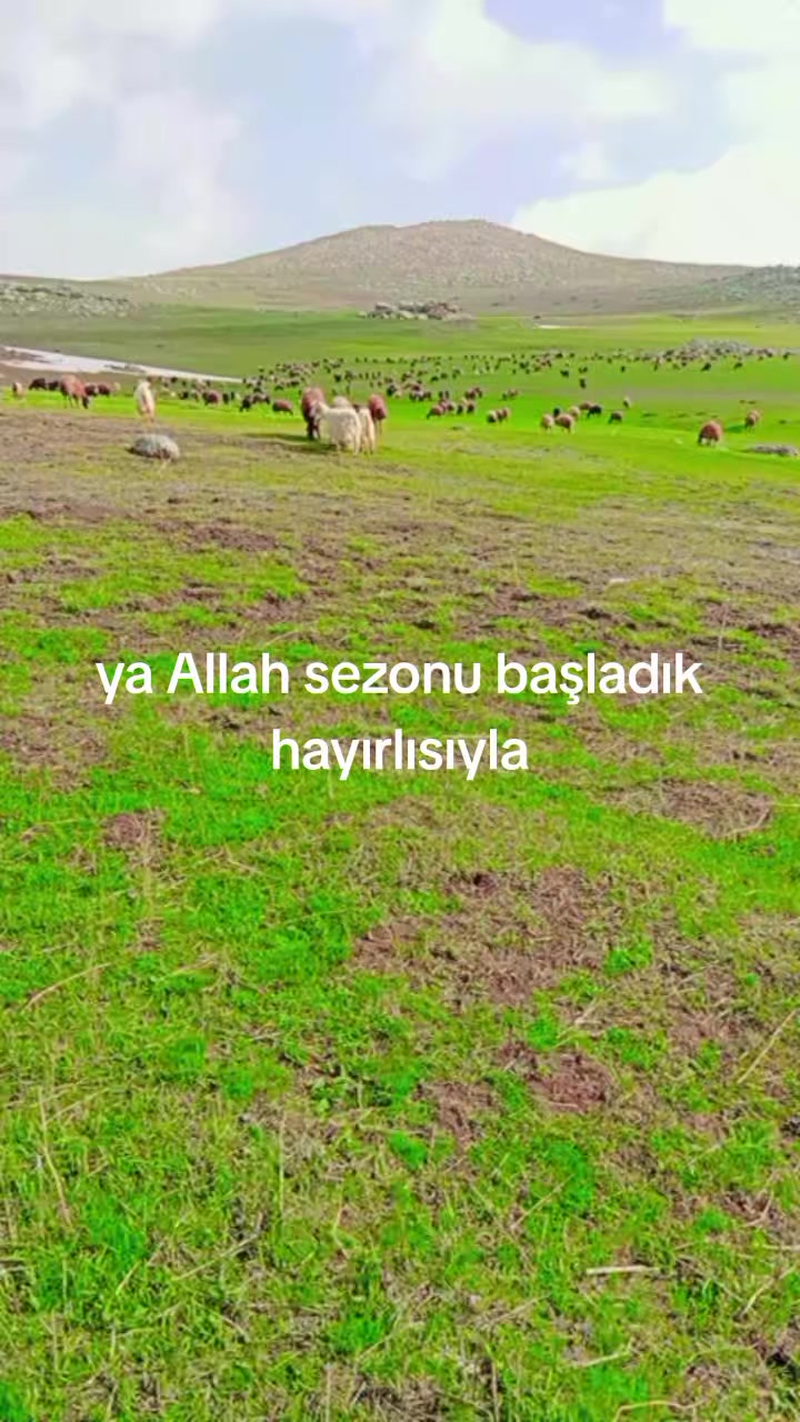 @7676767orhan