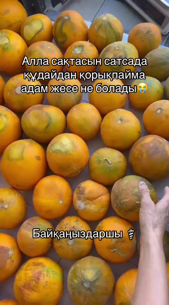 @Sila_shymkent