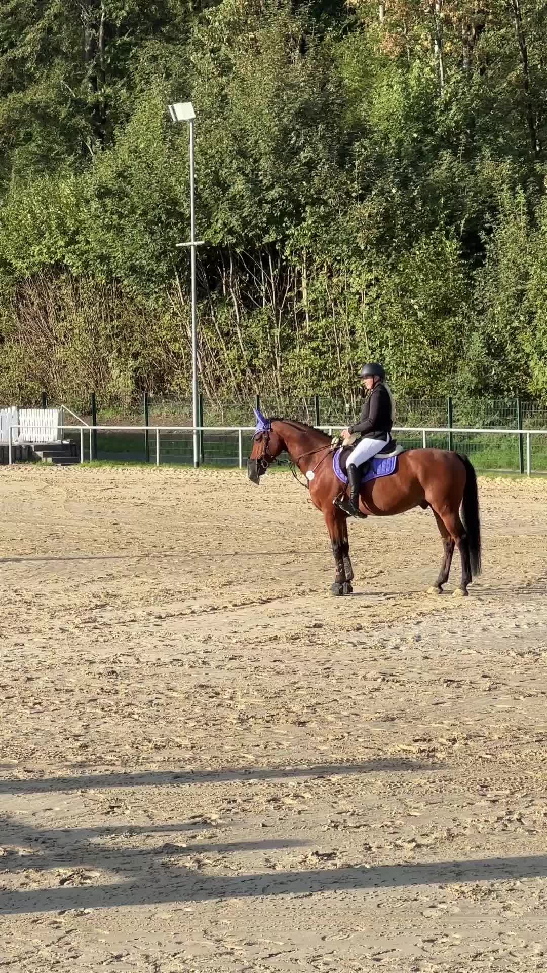 @callitoos.horselife