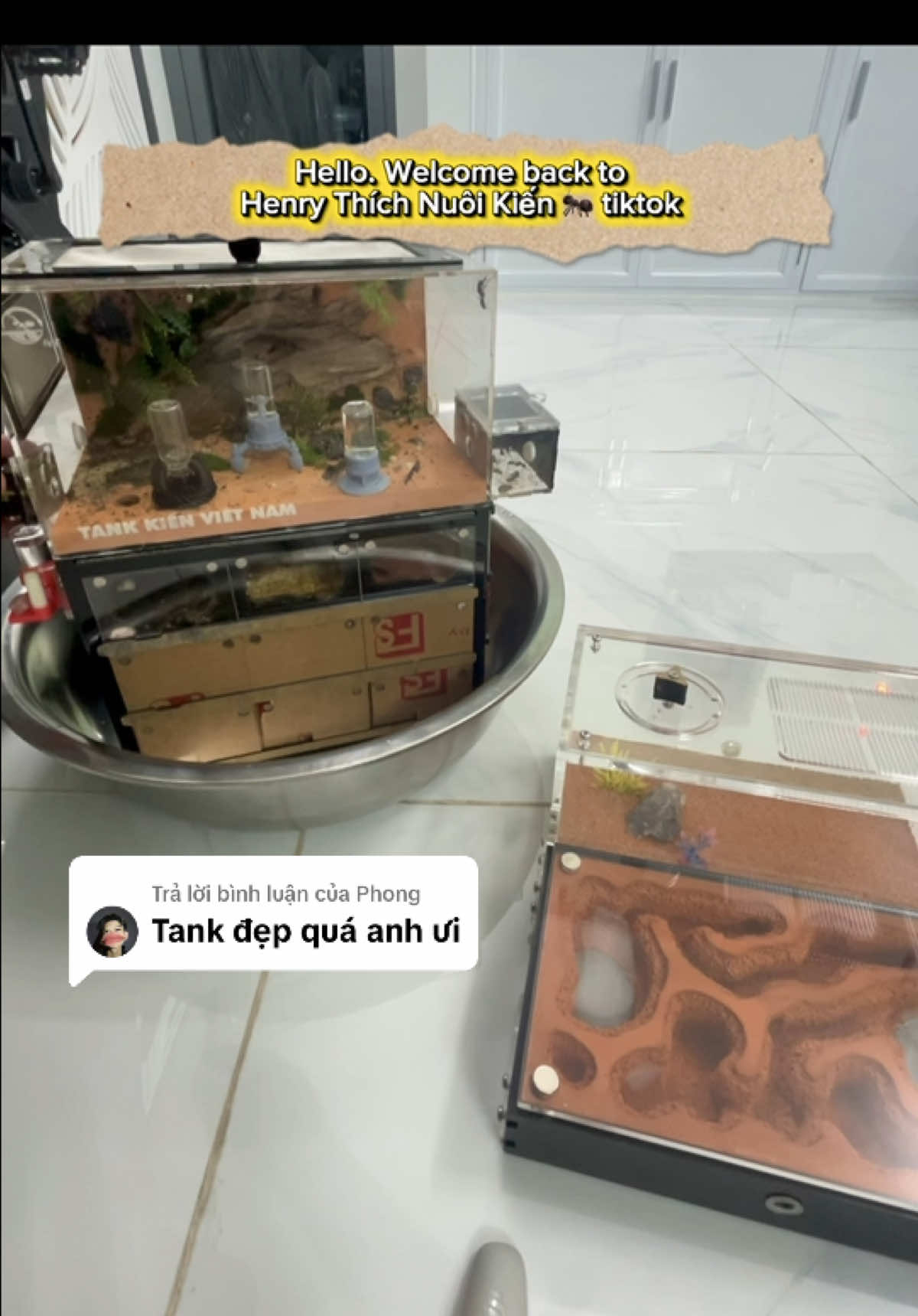 @Henry Thích Nuôi Kiến 🐜