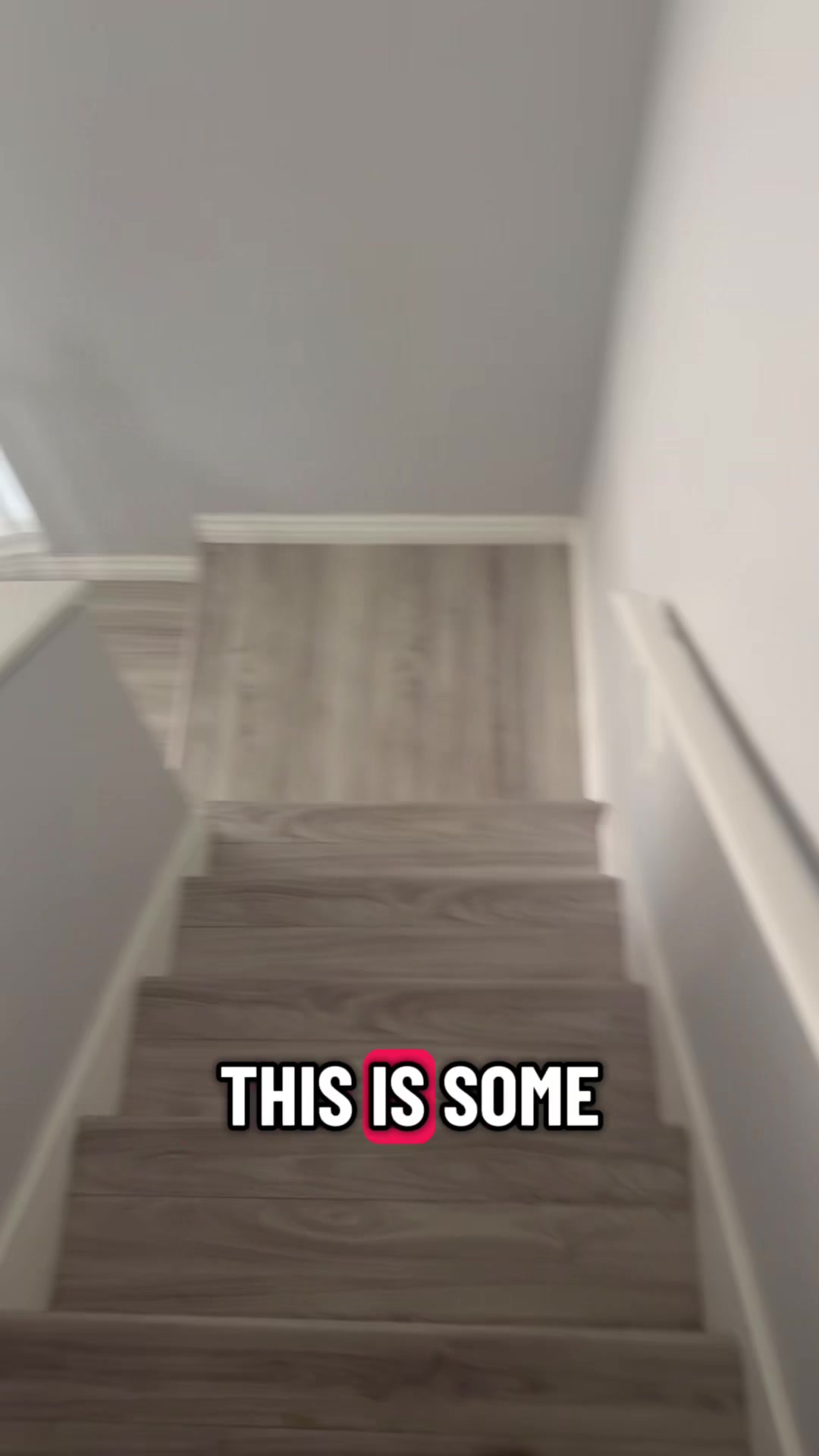 @sachistabs