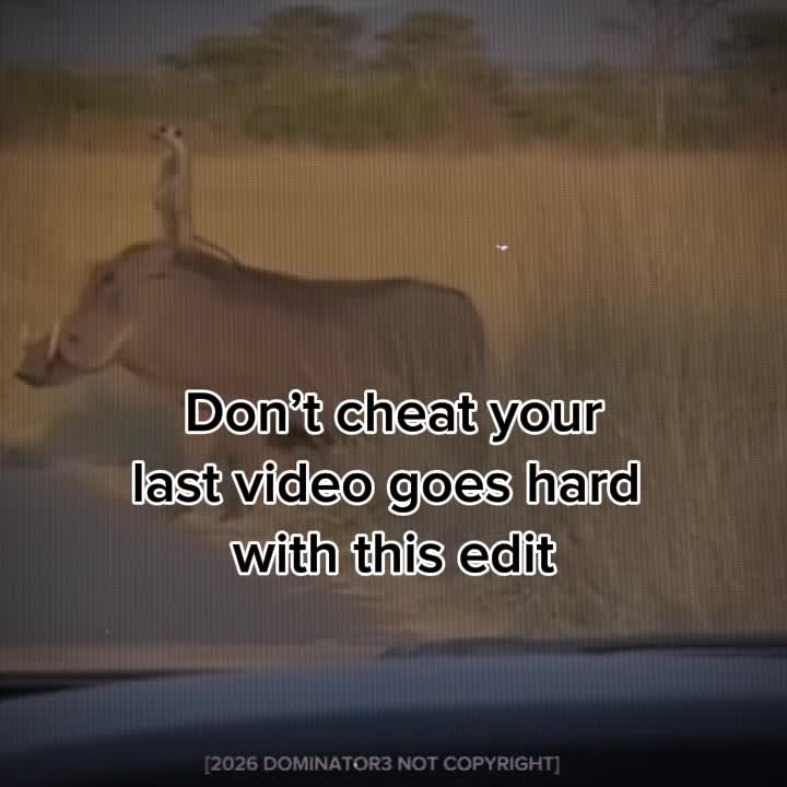 @Twitch