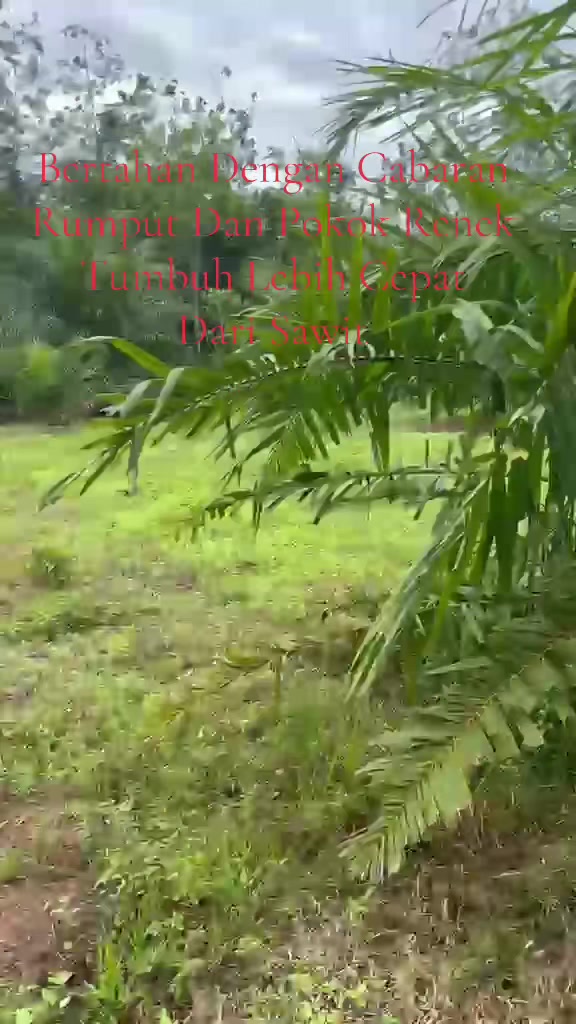 @Major WAN SHAHIDz