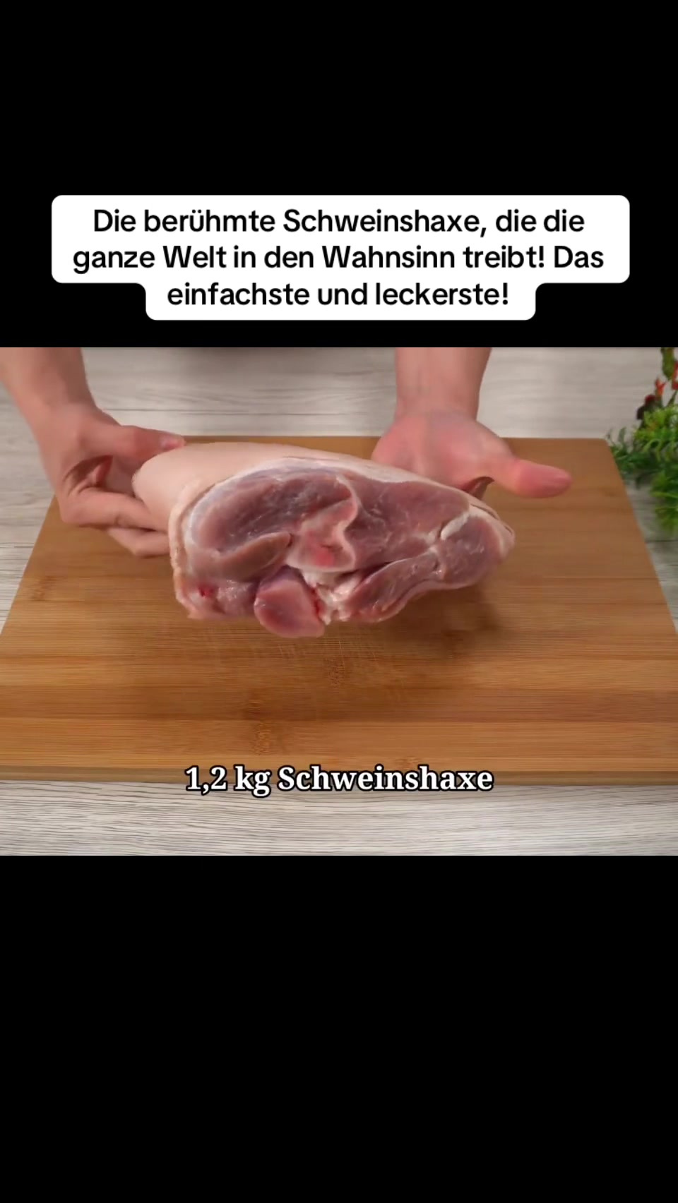 @Rentenberater Peter Knöppel