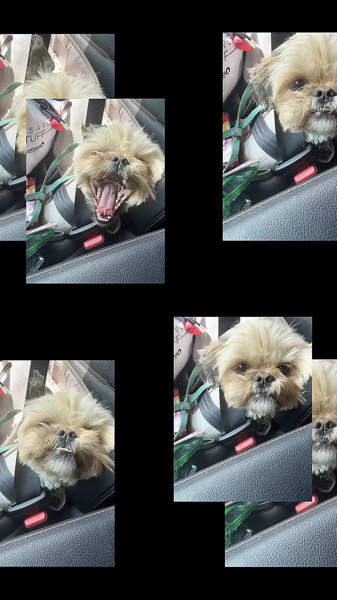 @Duuuviethedog