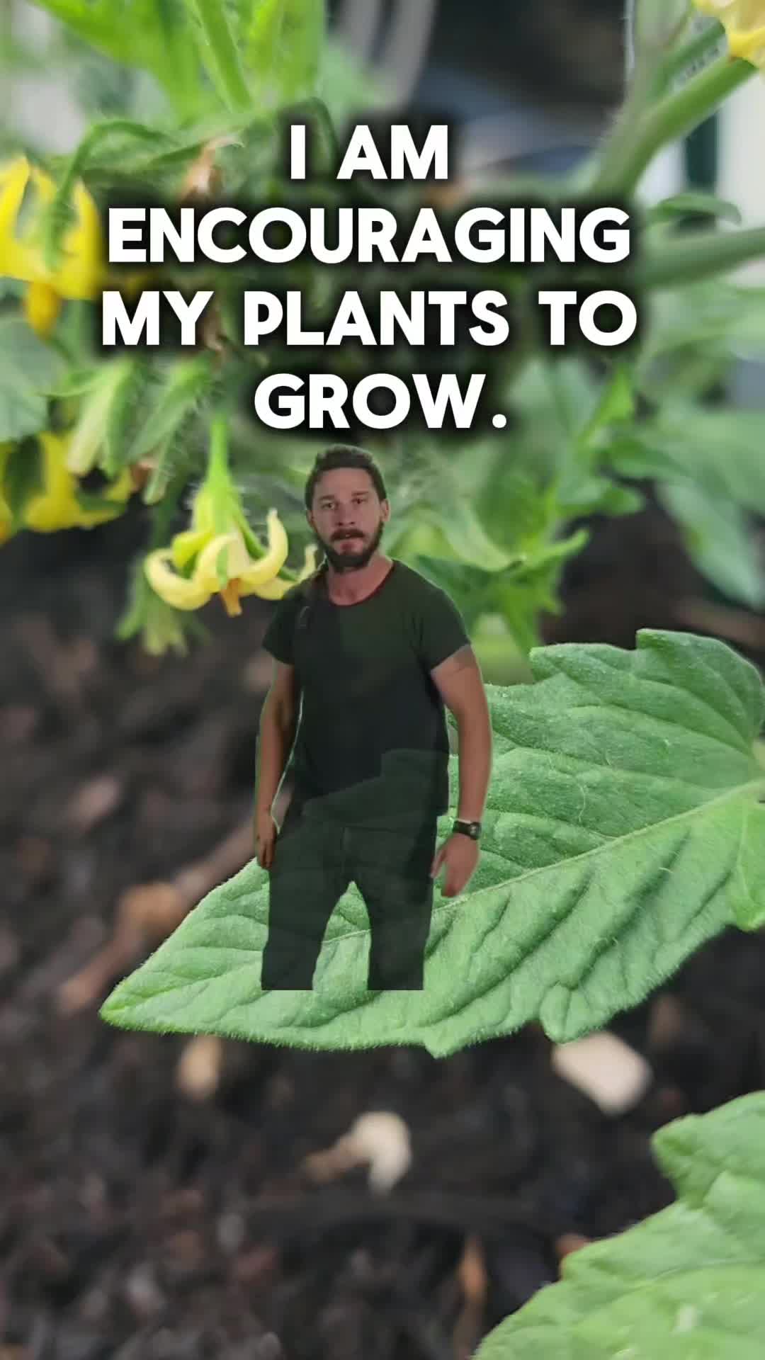 @Lana -🐕&zwj;🦺Dog Mom & Gardener