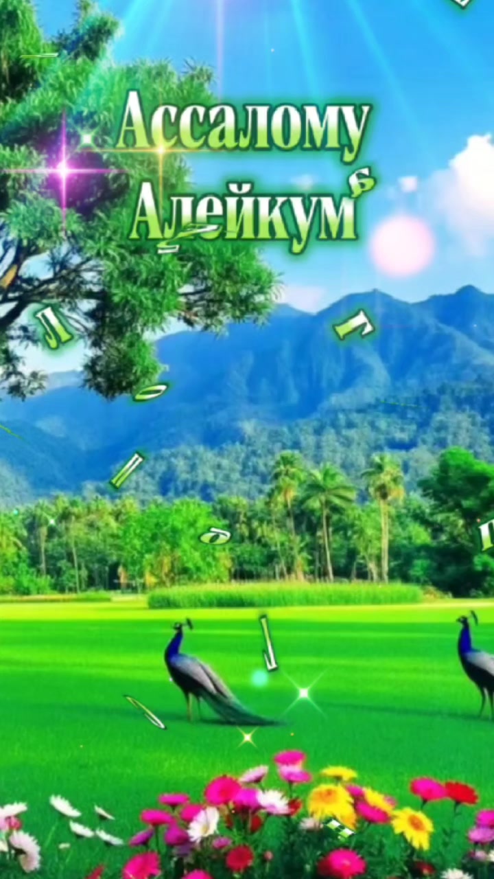 @Ностальгия✅️