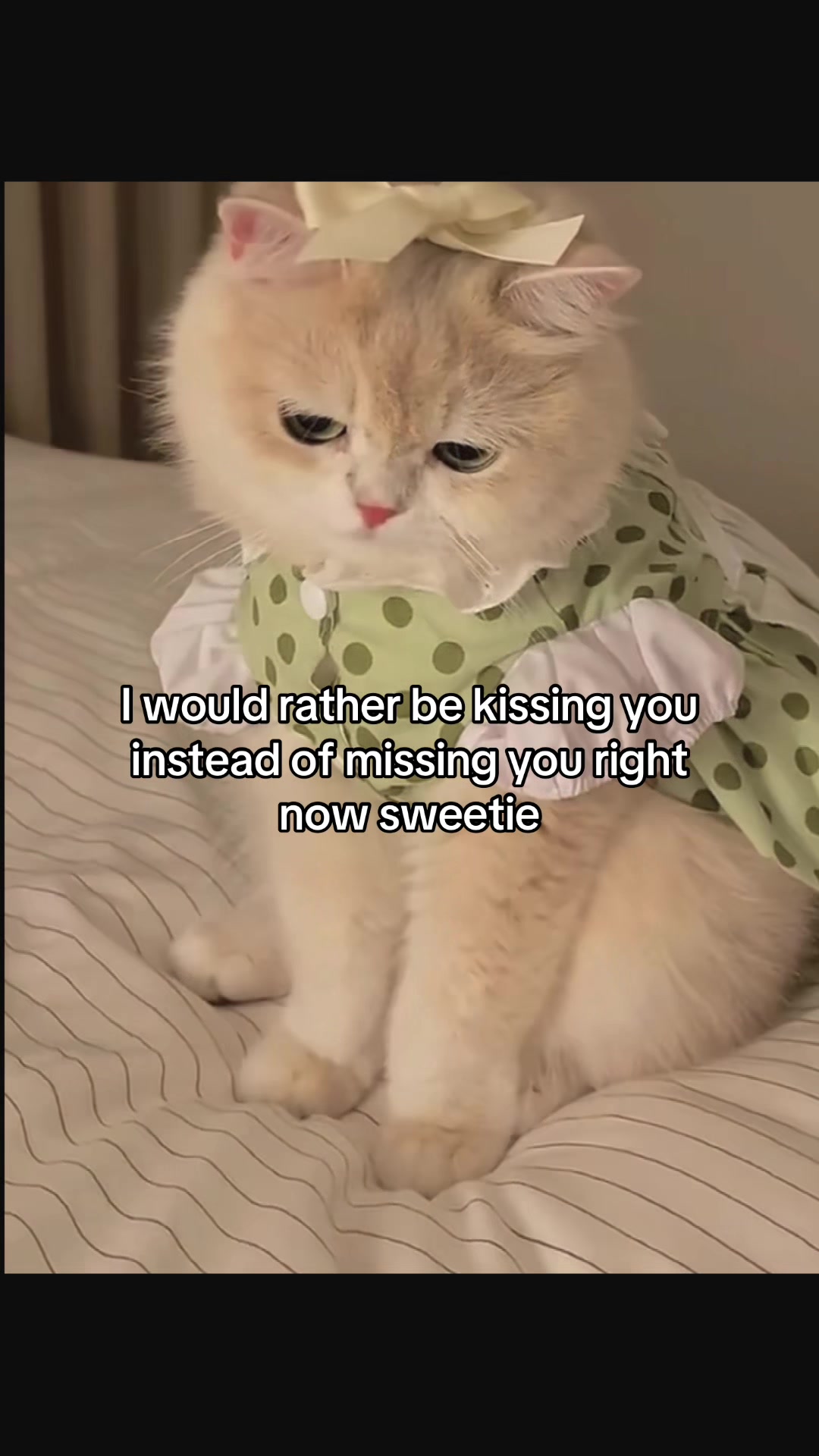@Molly