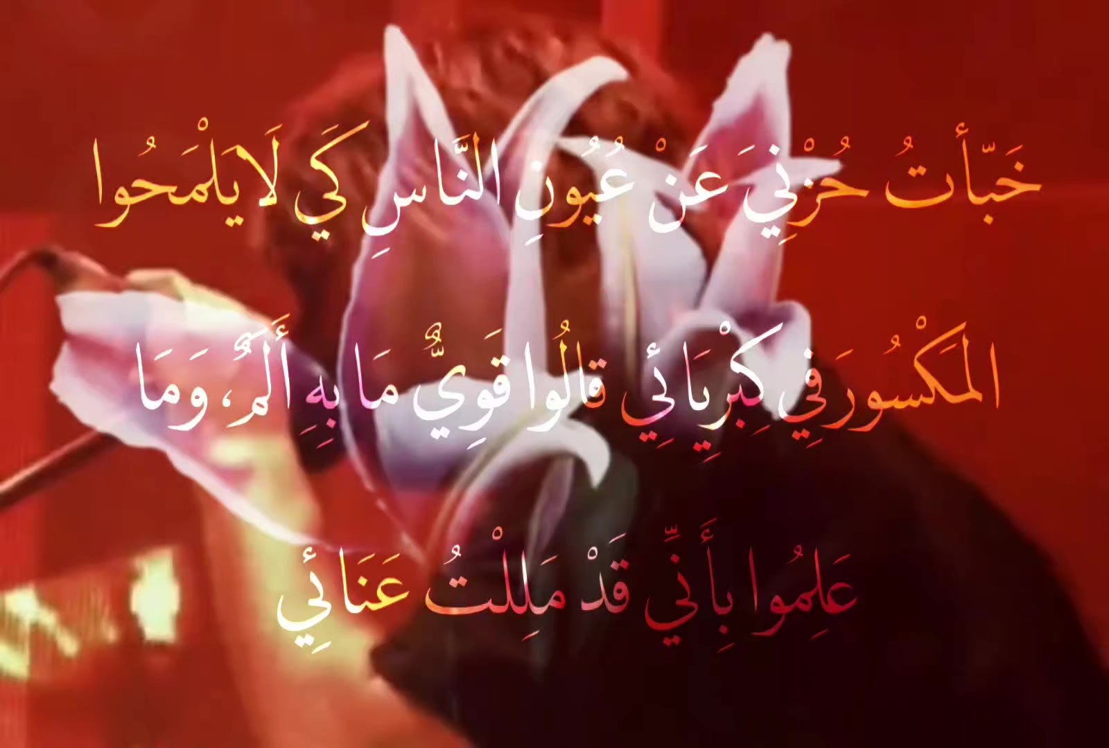 @حيدر