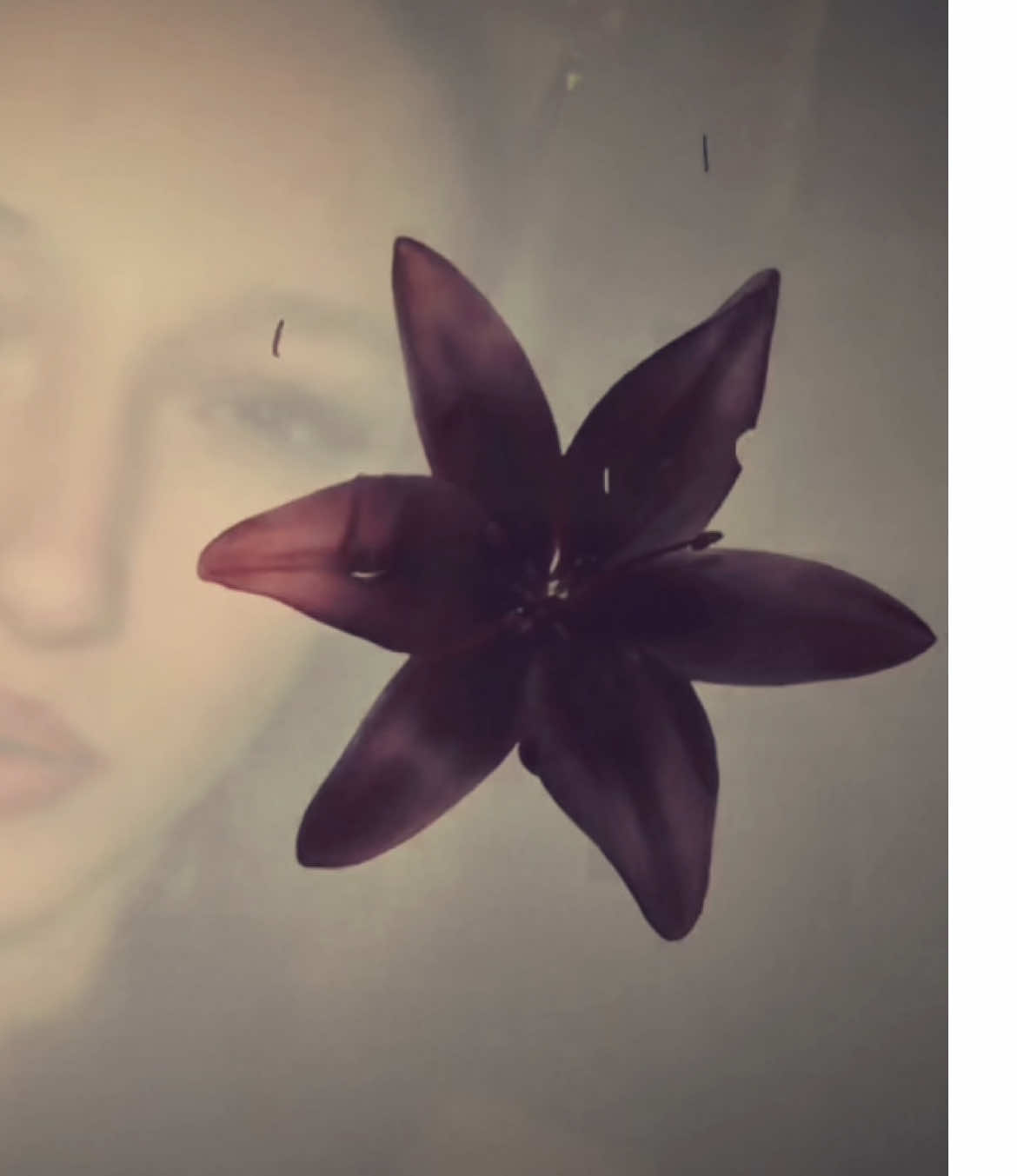 @M59🌺