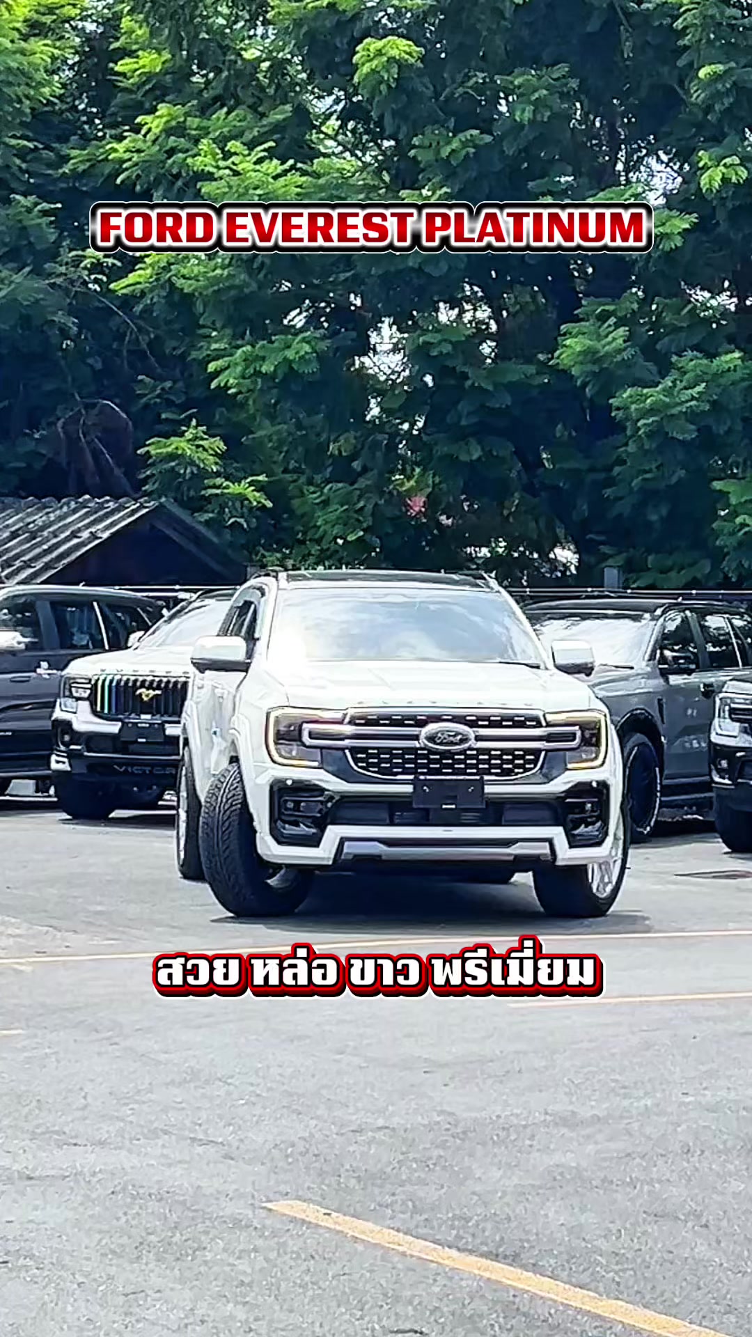 @อวยพรเซลล์ฟอร์ด(FORD)