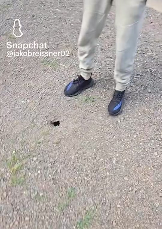 @Jake_fromStateFarm8592🥷