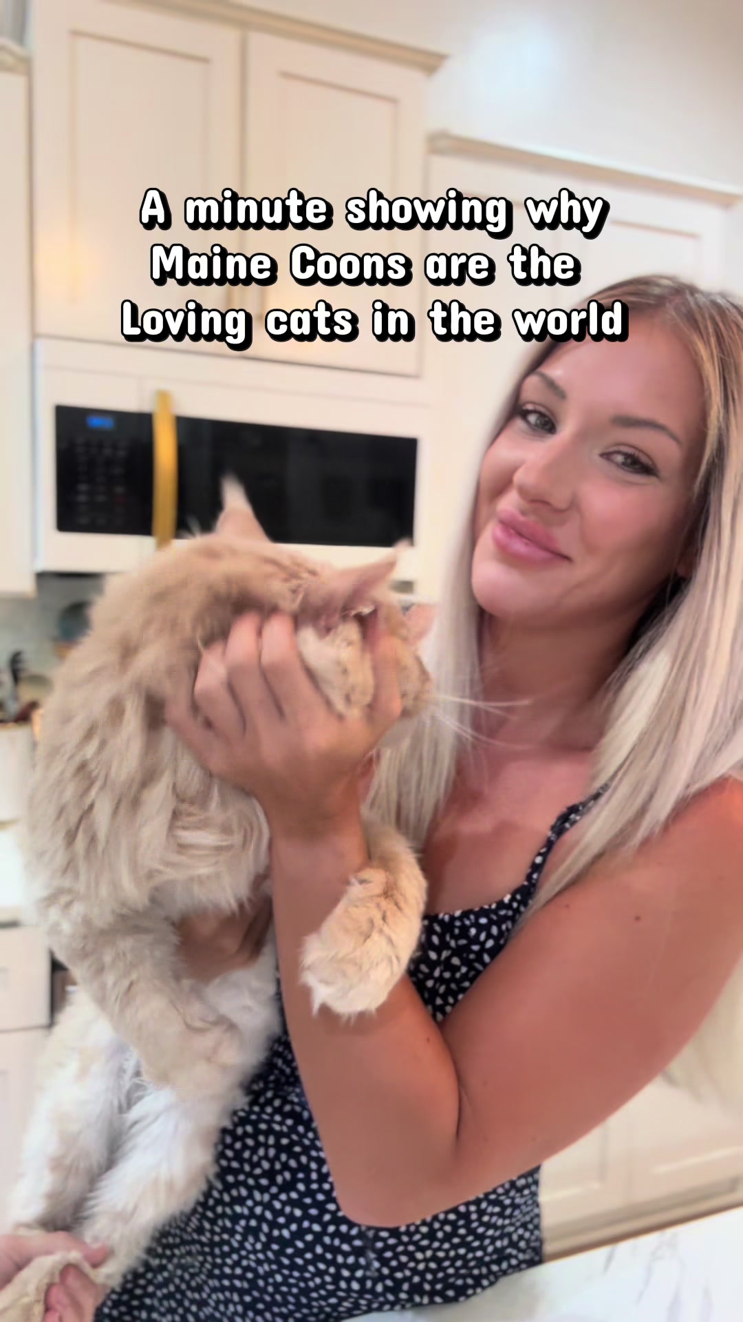 @AristoCoon Cattery