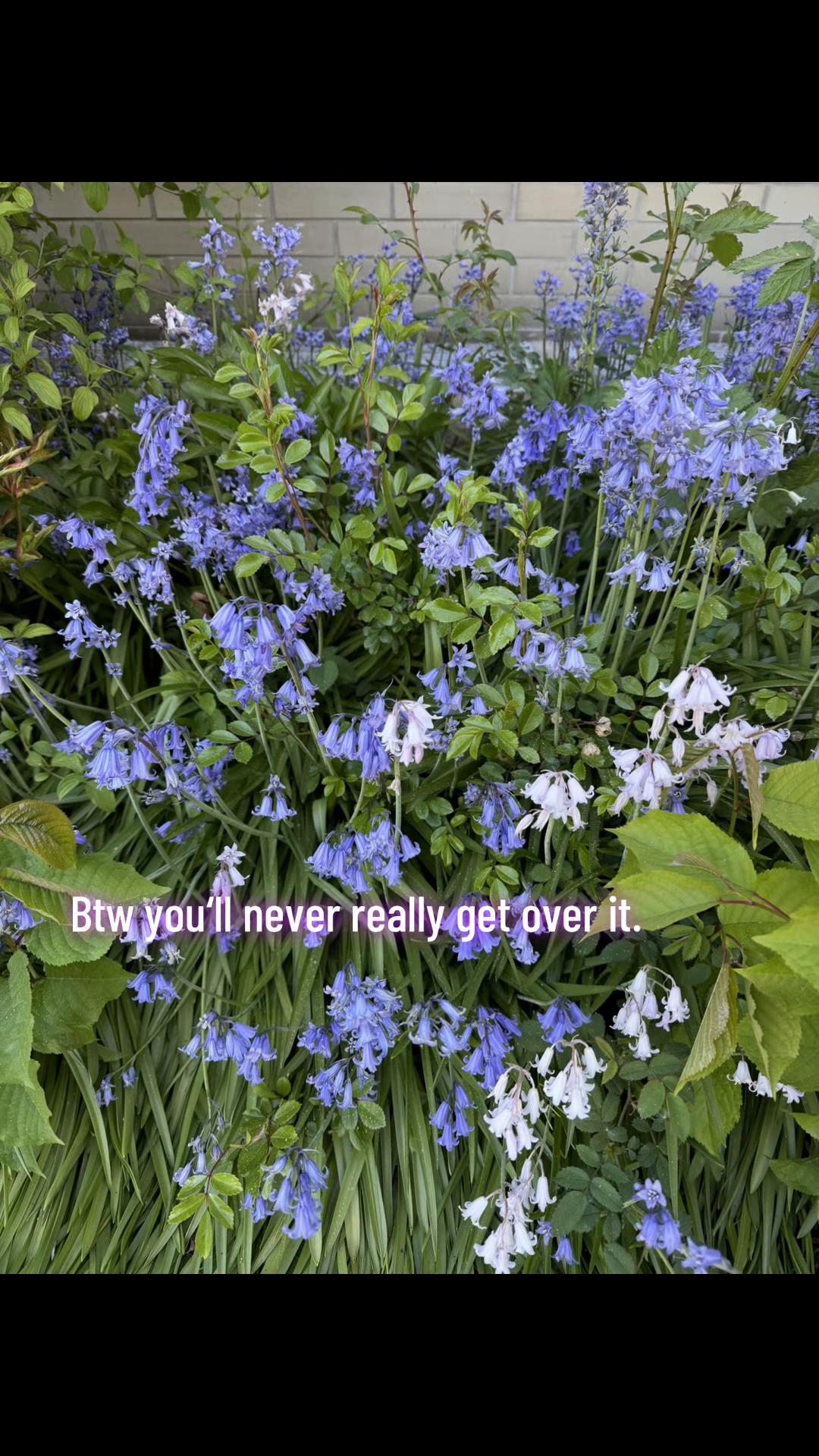 @♥️
