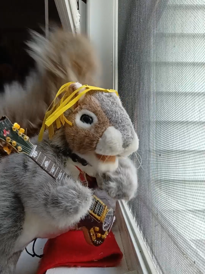 @Charles The Squirrel