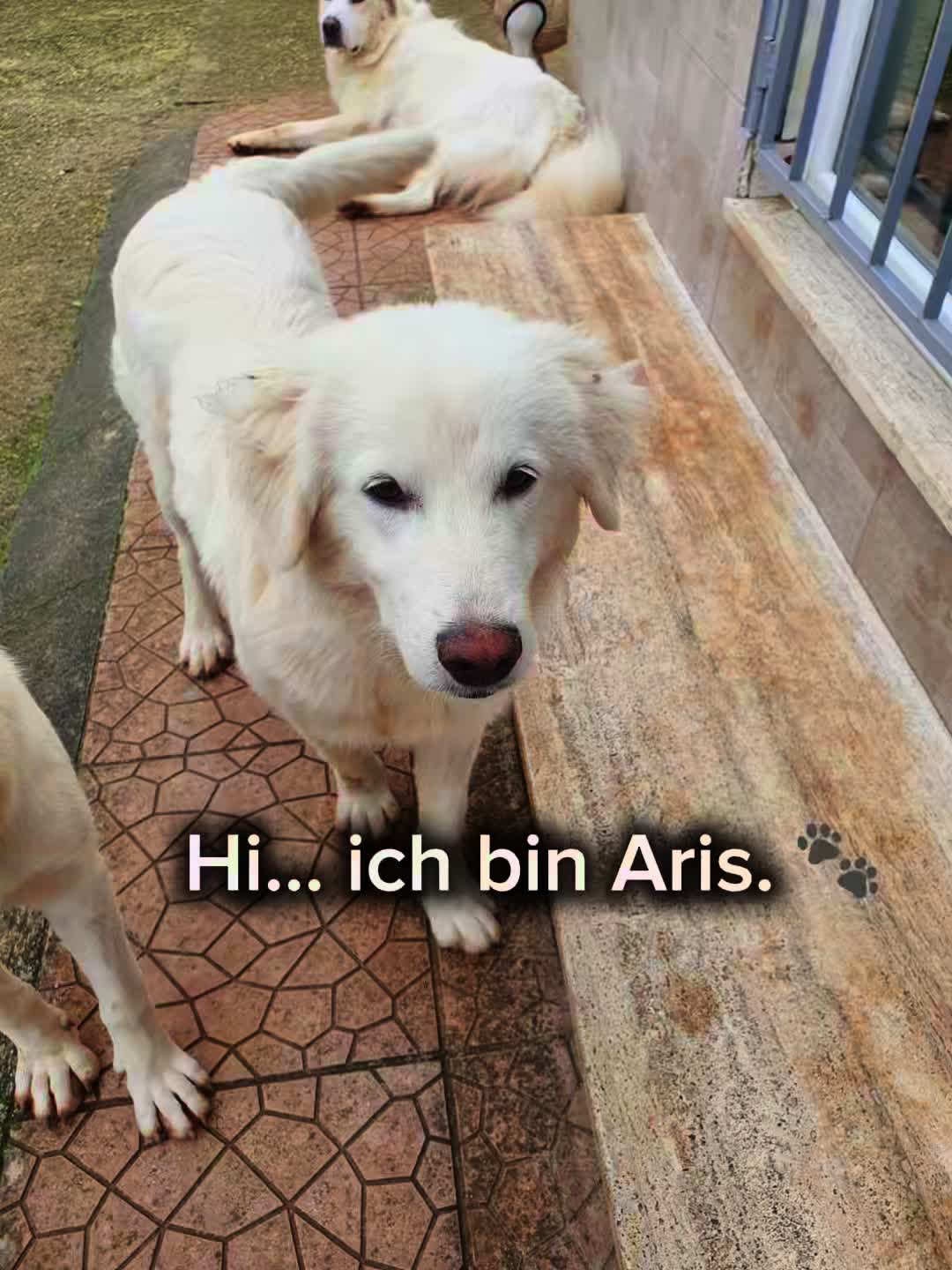 @Tierheim der Glückliche