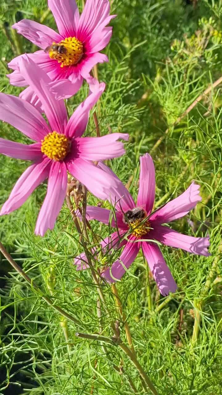 @Natur und Garten