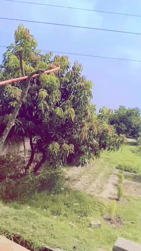 @Shahzad Soomro