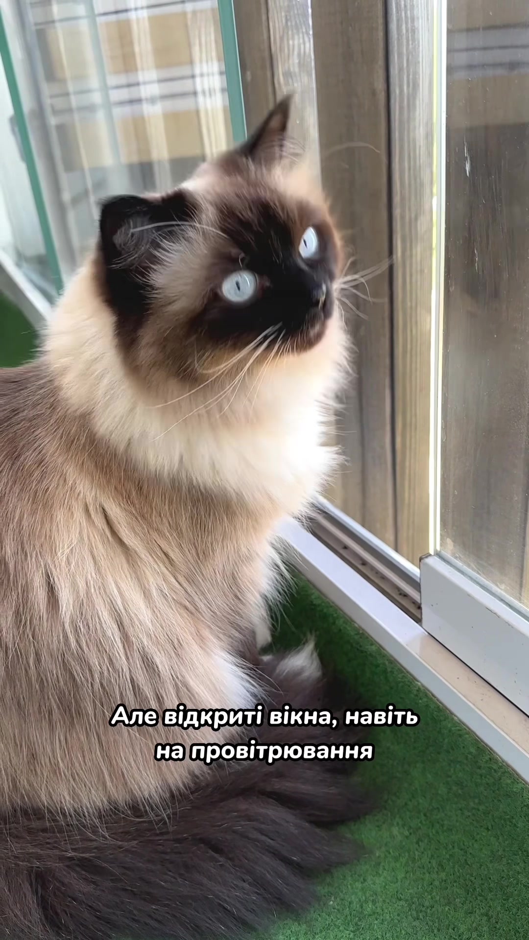 @Місс КІСЯ