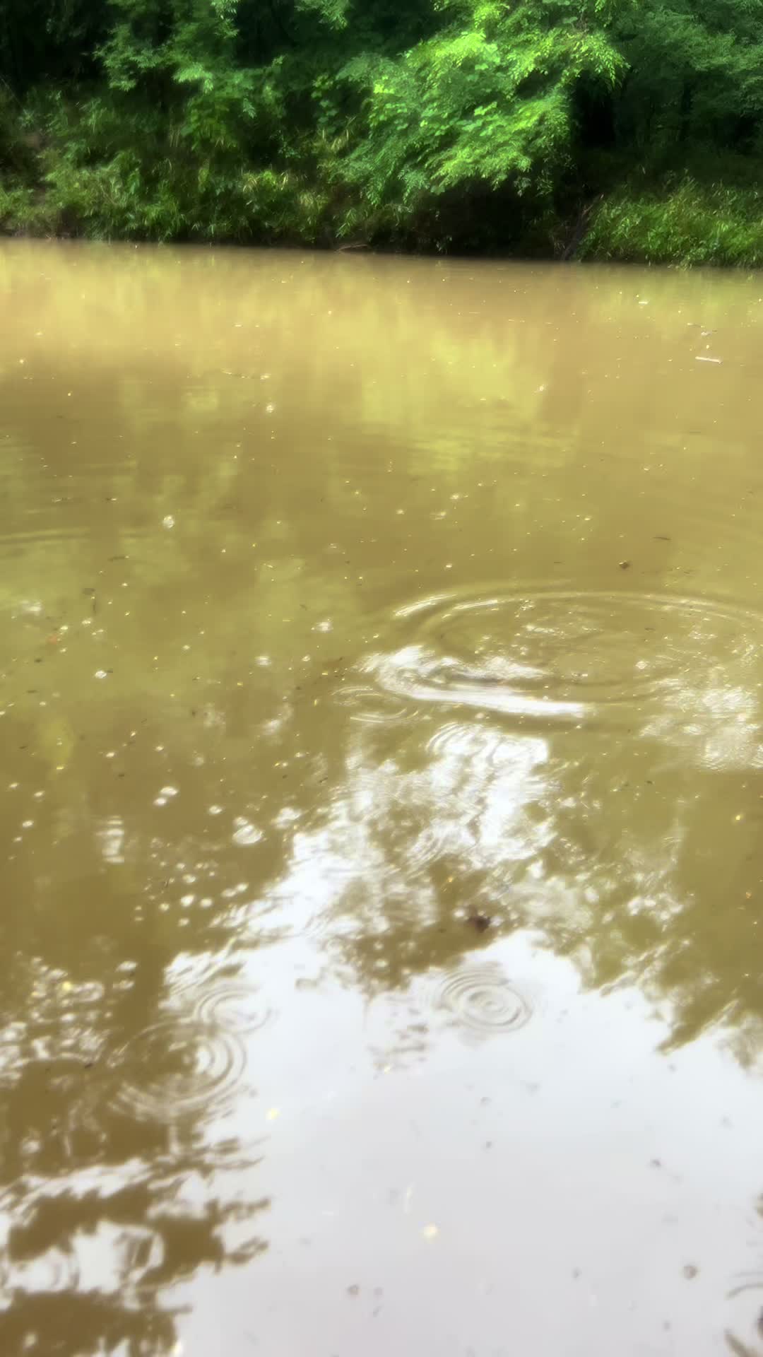 @Creek Seeker Outdoors