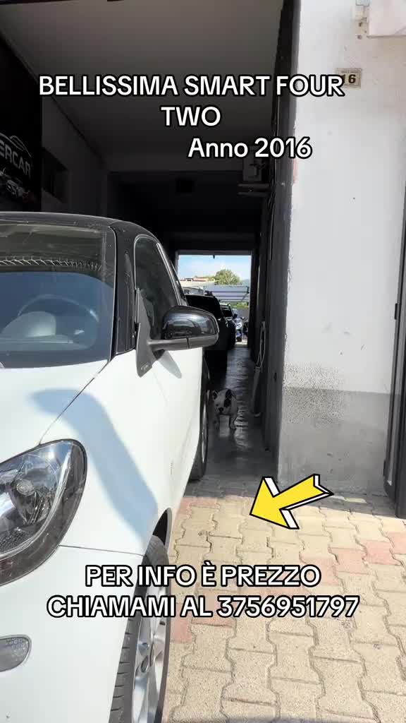 @AUTO PLURIMARKET