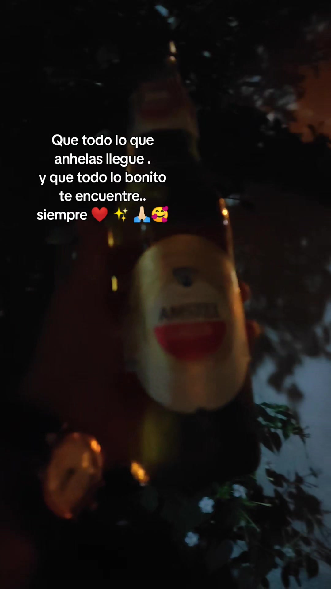 @Sagitario14❤️