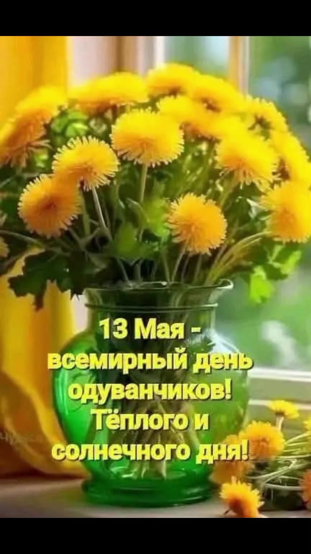 @Светлана Цокан
