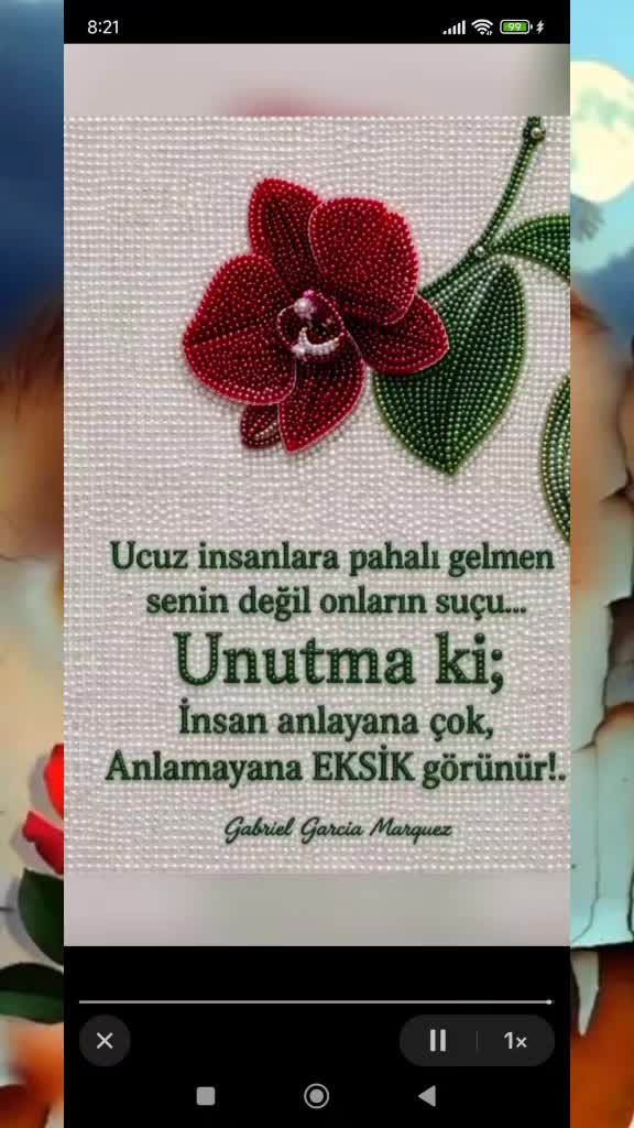 @🇹🇷҉͜͡✭E C R İ N 🇹🇷҉͜͡✭