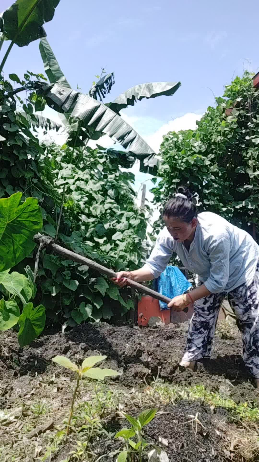 @सर्मिला थापा