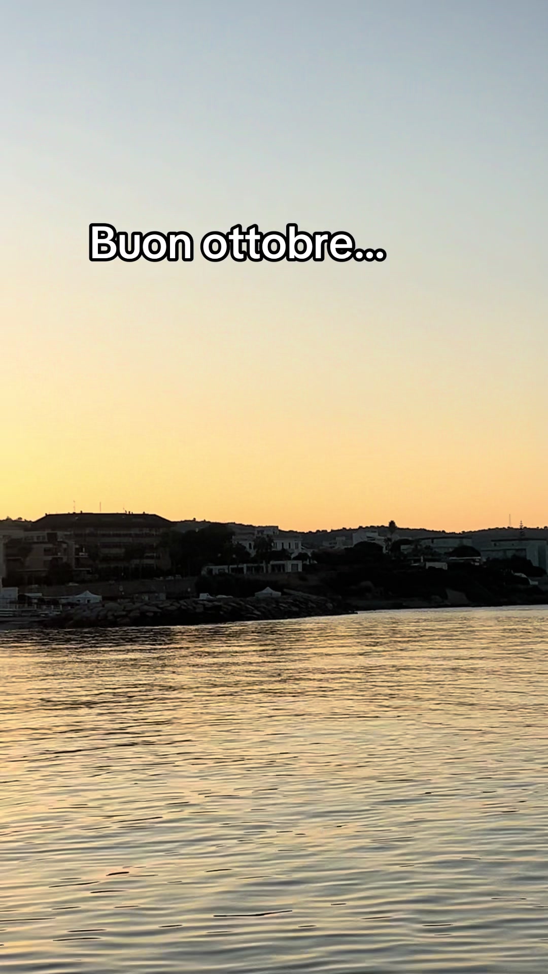 @Luna Chiena