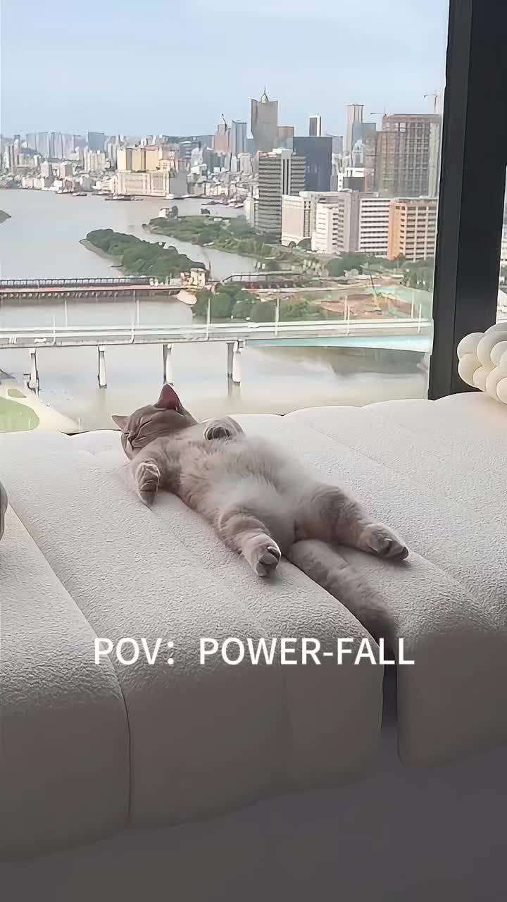 @lovepandas05