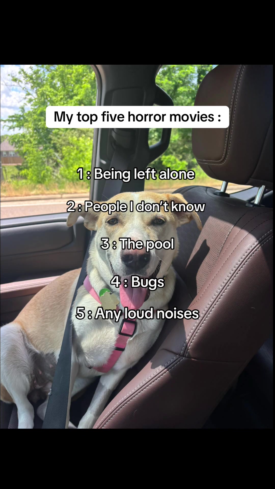 @emma