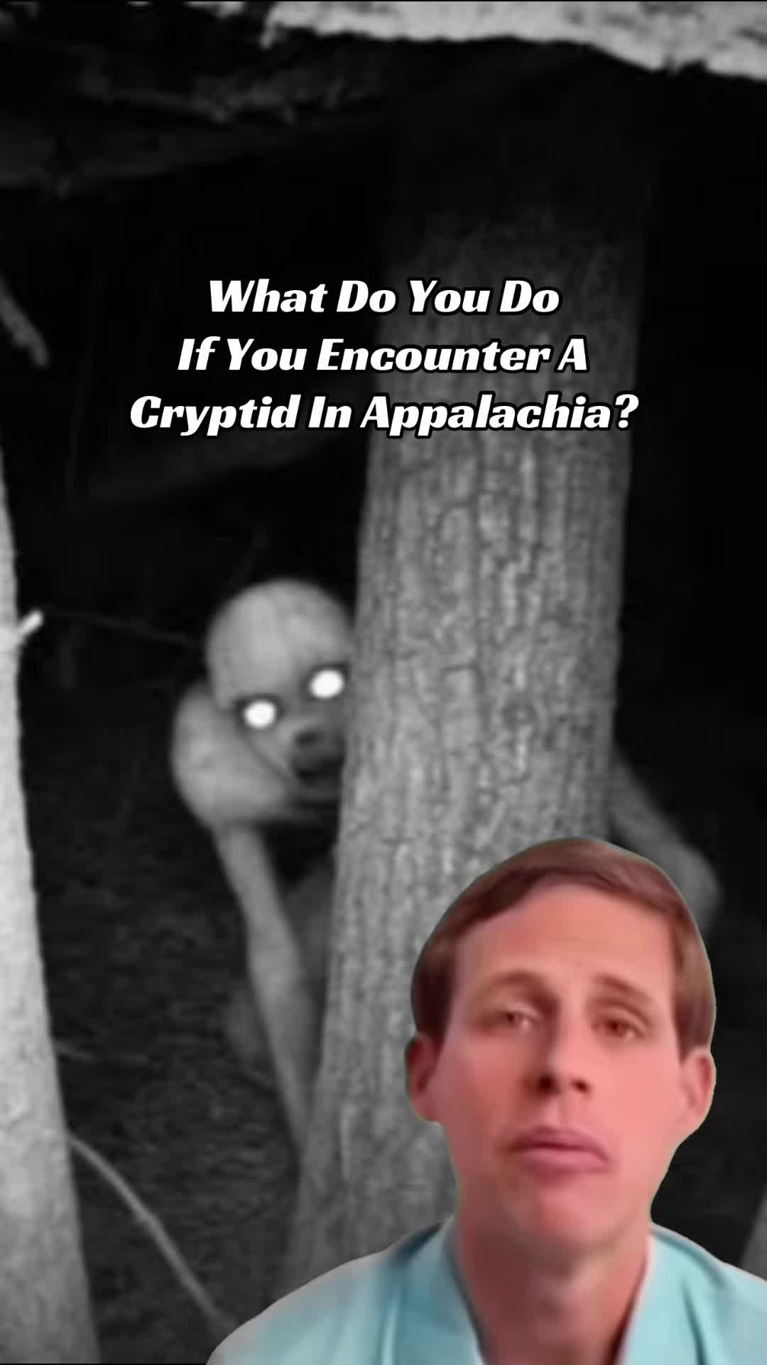 @The Twilight Emporium