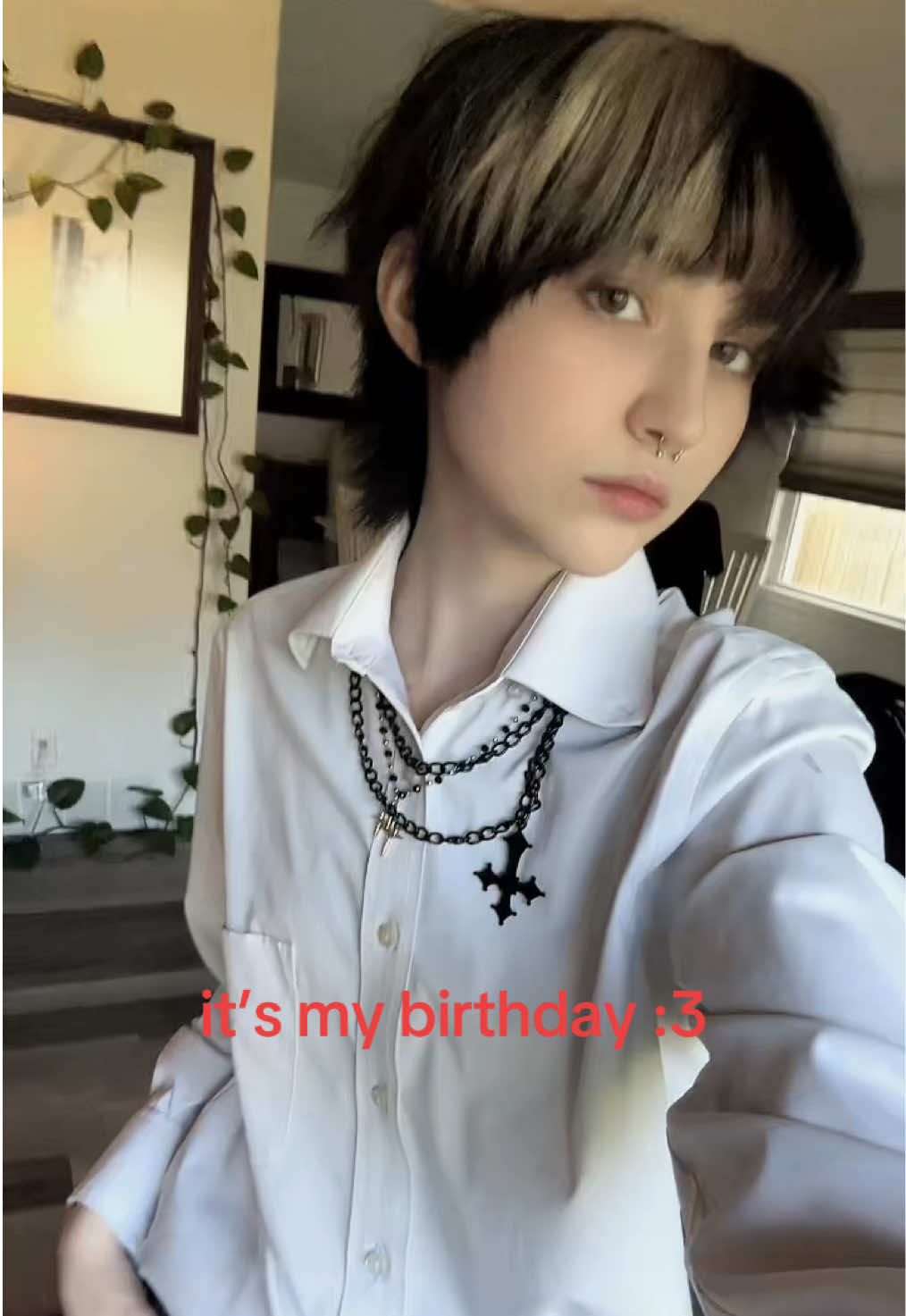 @rex