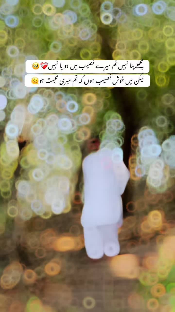 @R || Z 👑