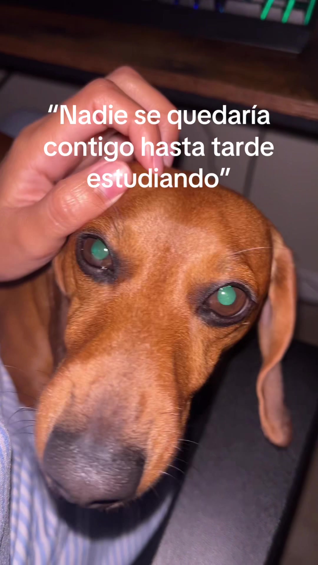 @Slinky Severus-Doo