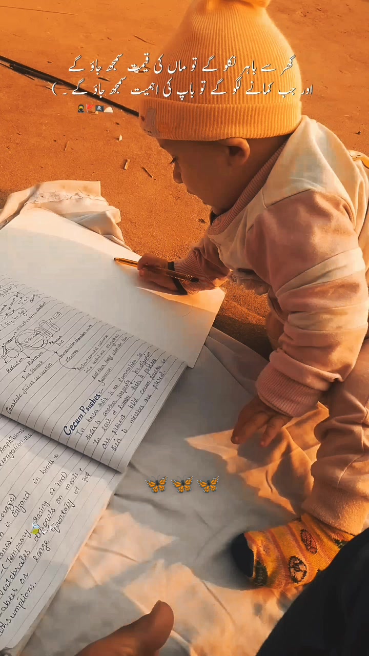 @⚜️creativity ♦️