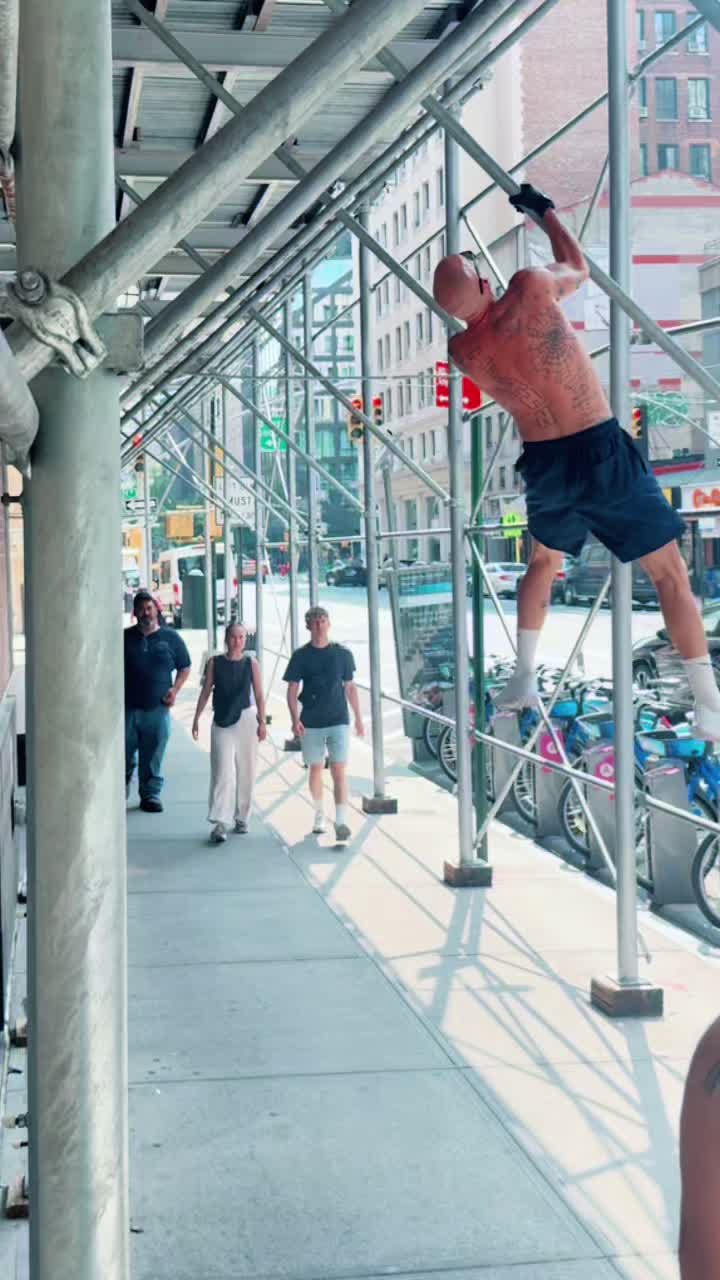 @spidersquirrel